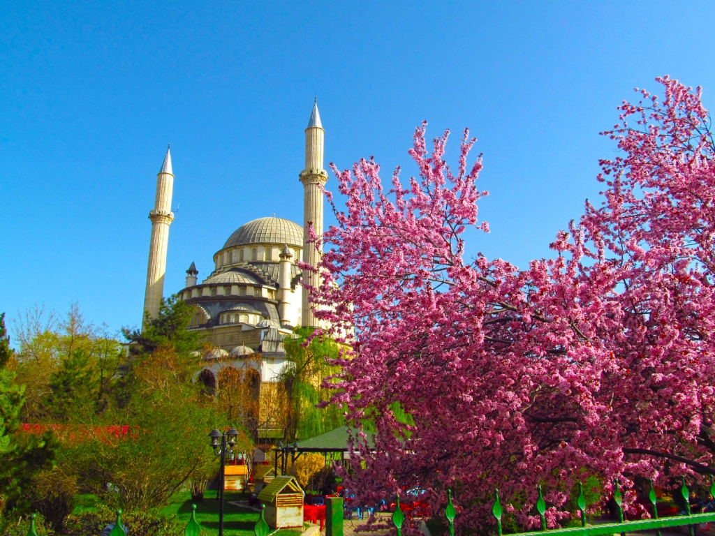 Bingl Ulu Cami