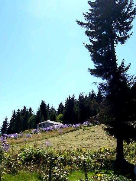 yayla evi