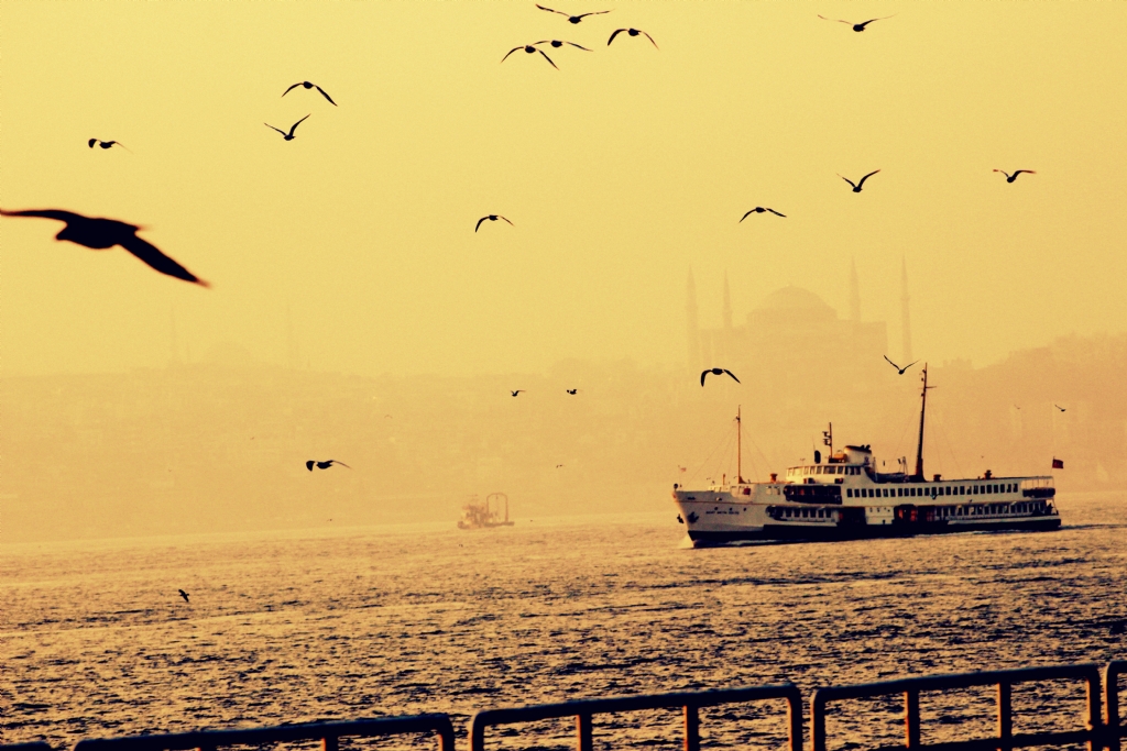 Canm istanbul