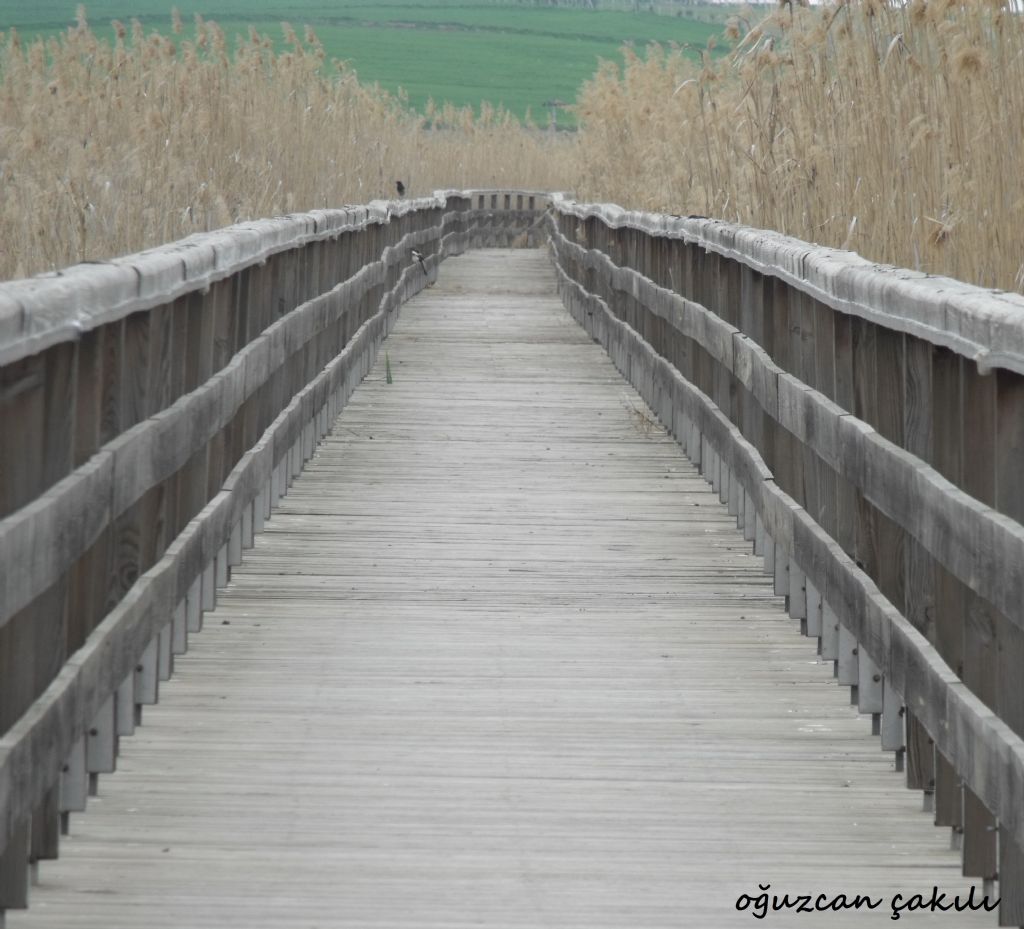 u�suz bucaks�z...