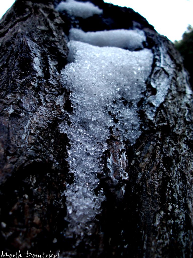 Buzulla�an Kar Tanecikleri