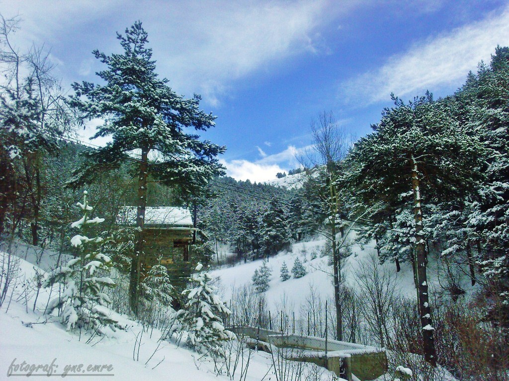 Dalarda Kar Sesi Var