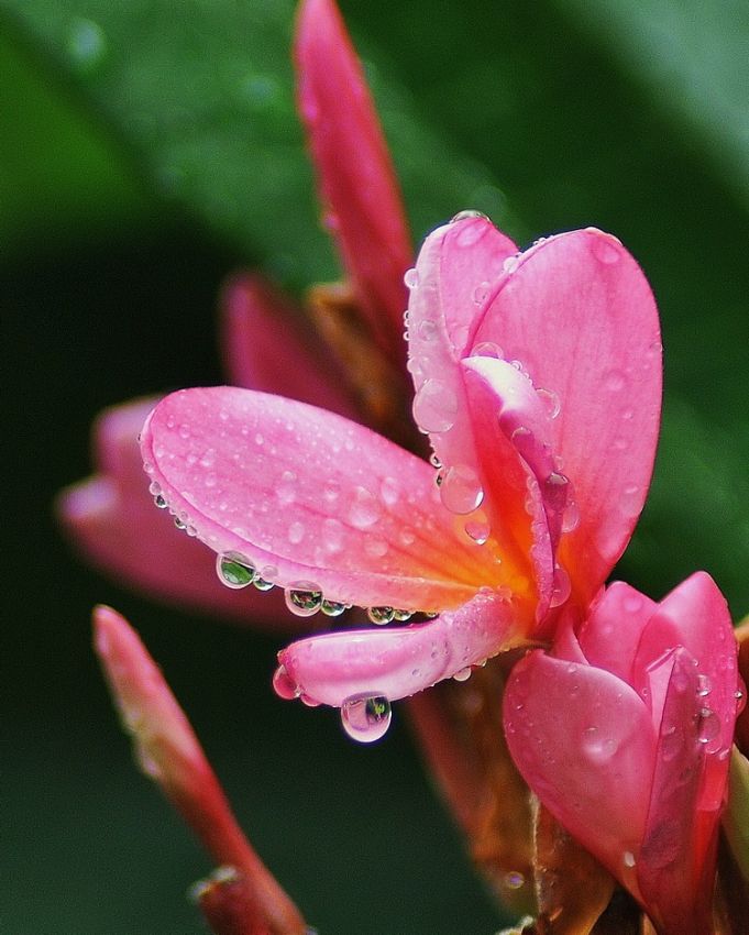 Musonlarm Hala durmad Yamur sonrasna devam
