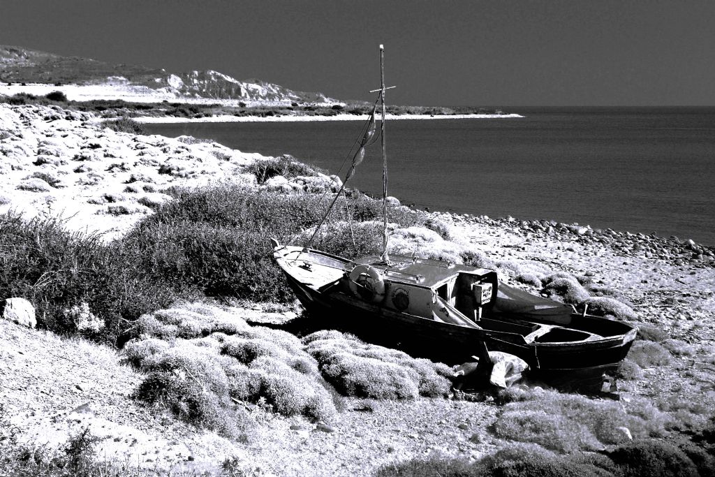 g�ne�lenen kay�k...