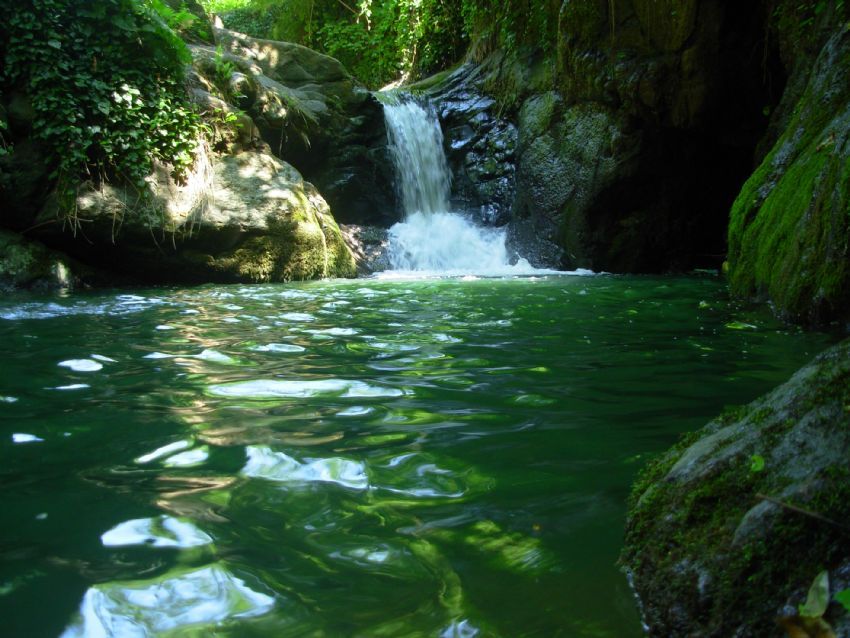 ORDU nun Dereleri :)