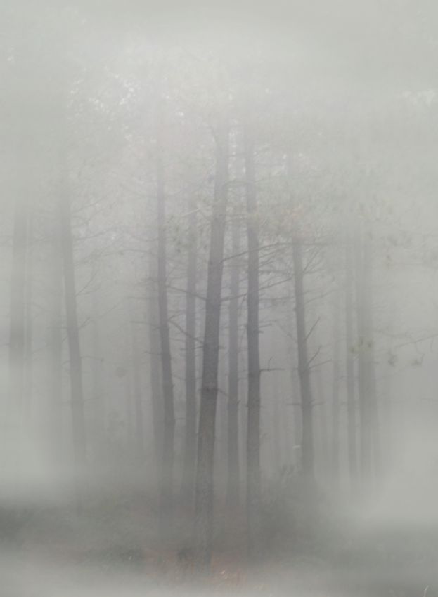 giz...................