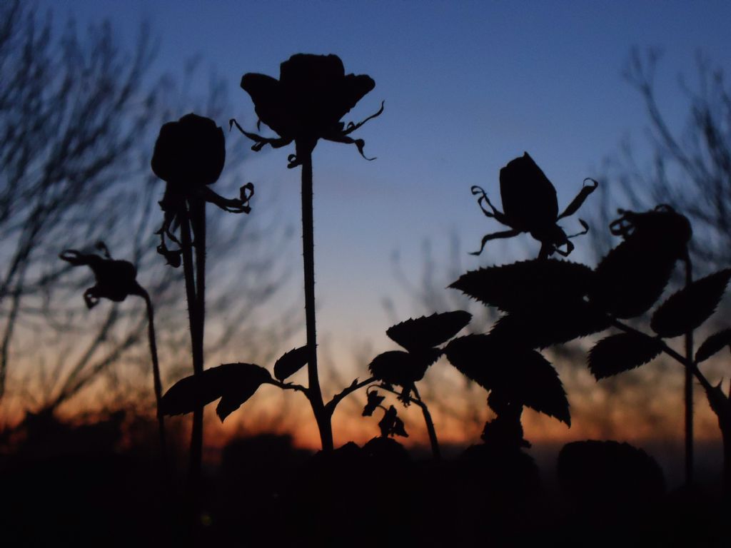 Batan Gunun ardindan...