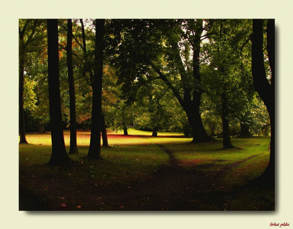 sensizligin ertesi sonbahar