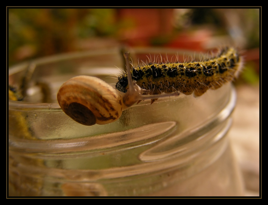 Hemzemin ge�ide dikkat... !