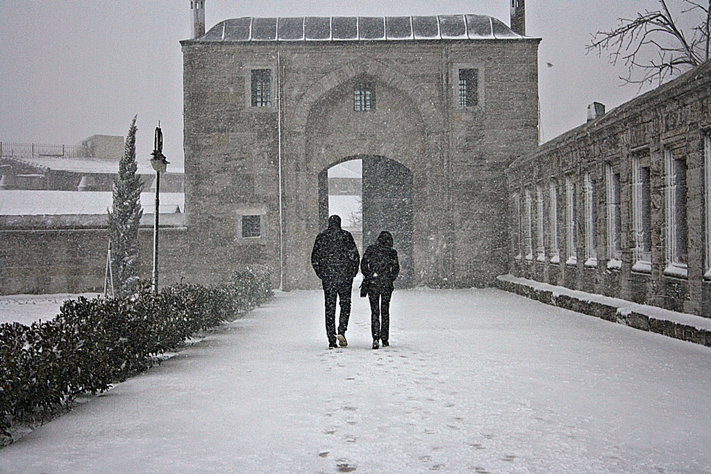 Karda y�r�mek...