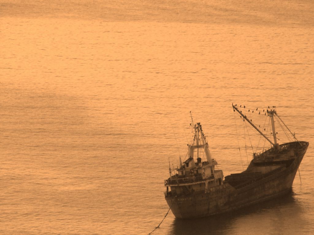 Bitmi� Hayat�n Yaln�zl���