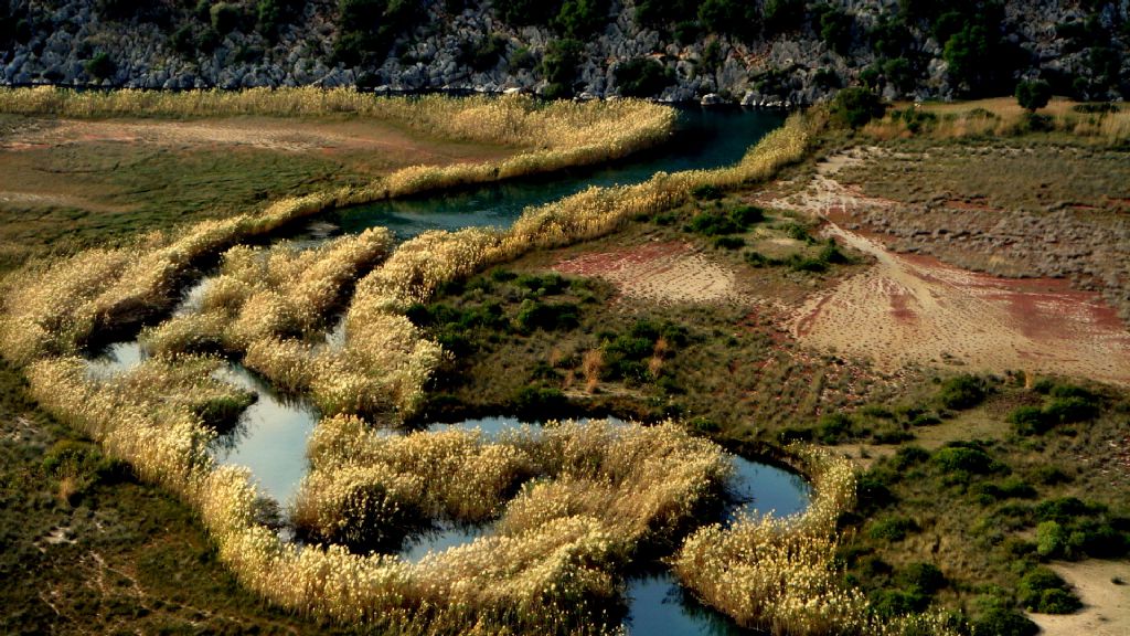 dalyan