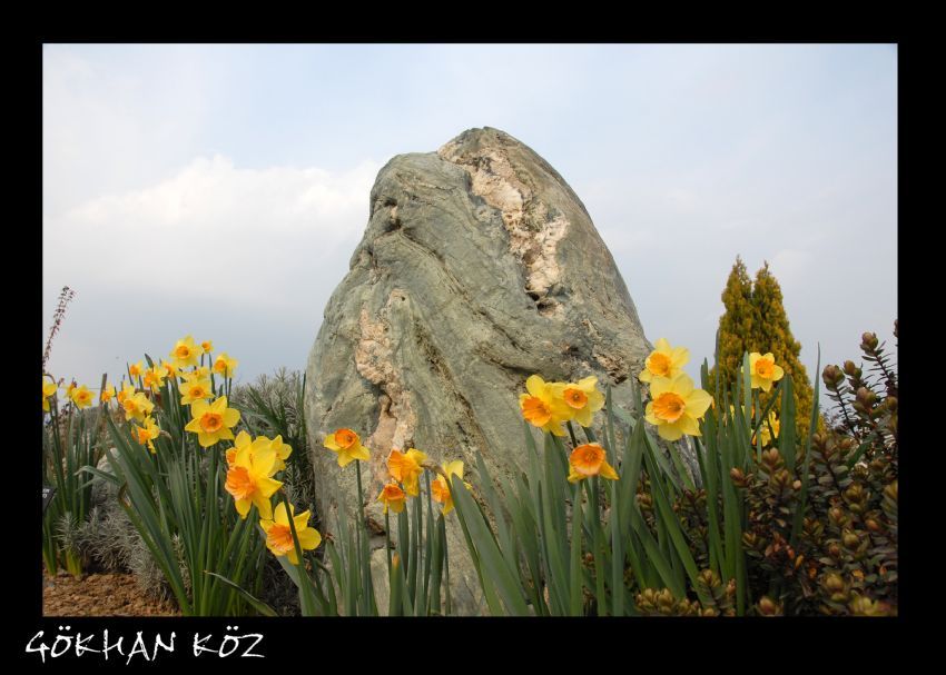 yurdumun da ta gzellikle dolu...