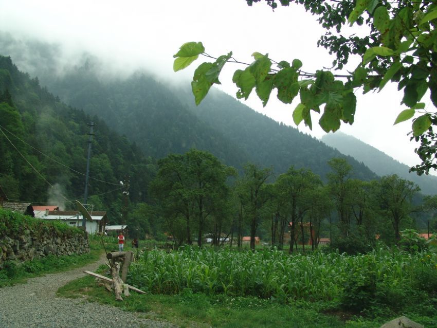 karadeniz uzongl de teknoloji ve doa