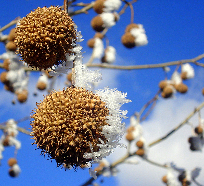 k gzellikleri  2.....