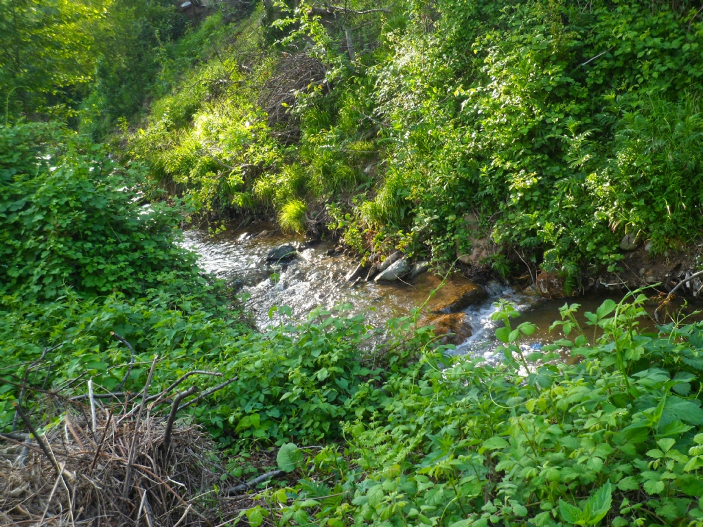 su akar yolunu bulur...