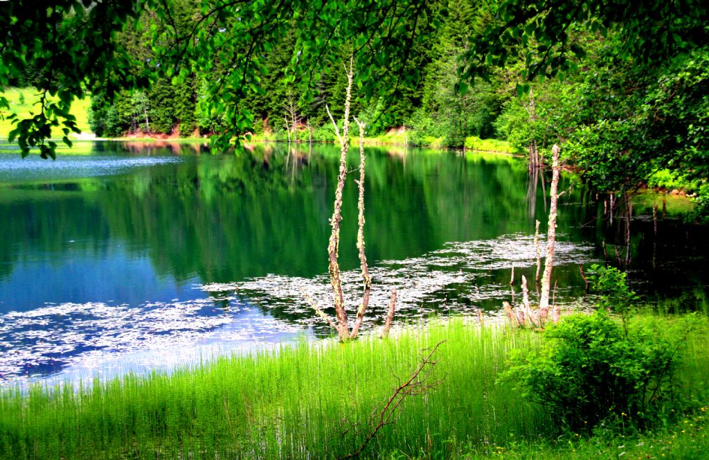 BR BAKADIR BZM MEMLEKETMZ