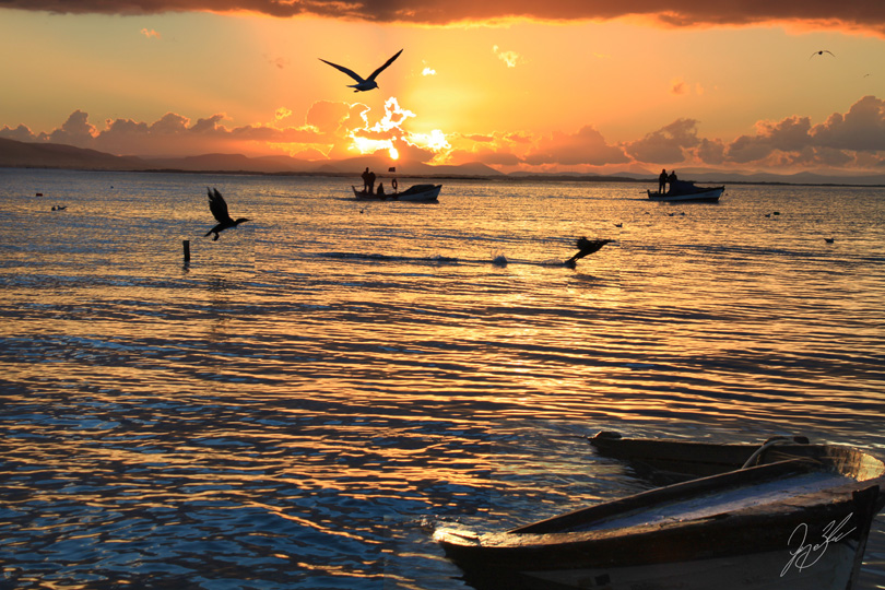 ZMR - KARIYAKA bostanLIFE