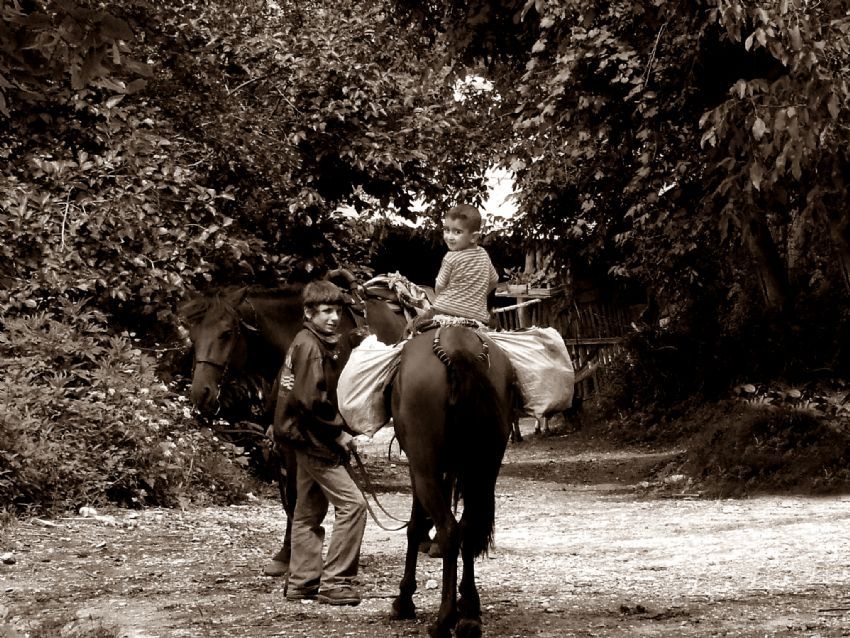 samet beyin bir at var ad kheylan