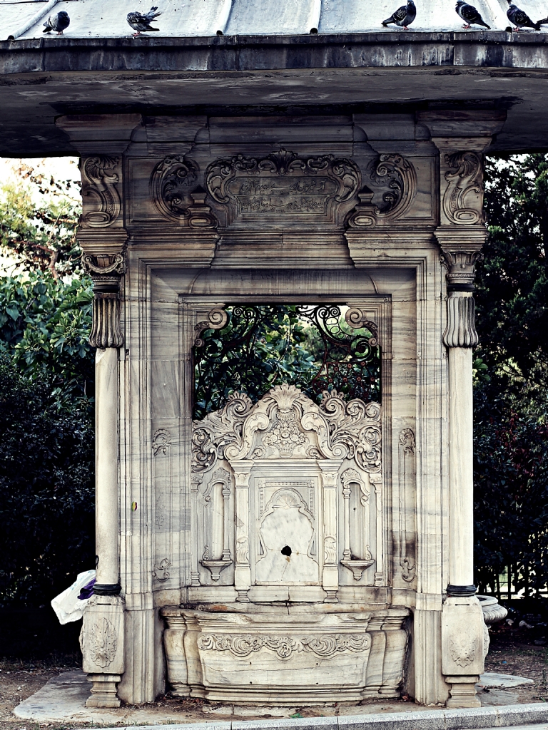 ayakta kalmay� ba�arabilen �e�melerimiz