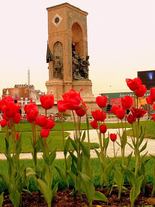 Taksim ve laleler