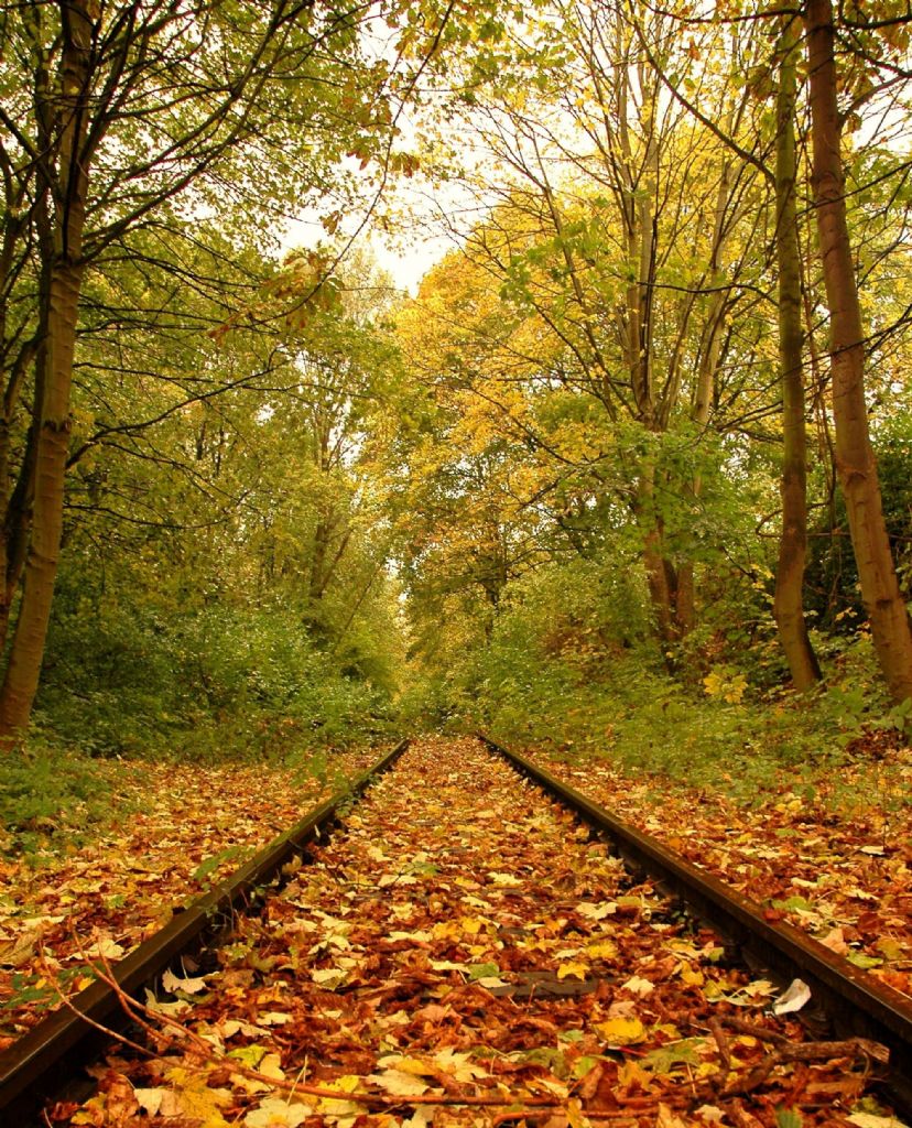 Sonbahar ve trenyolu