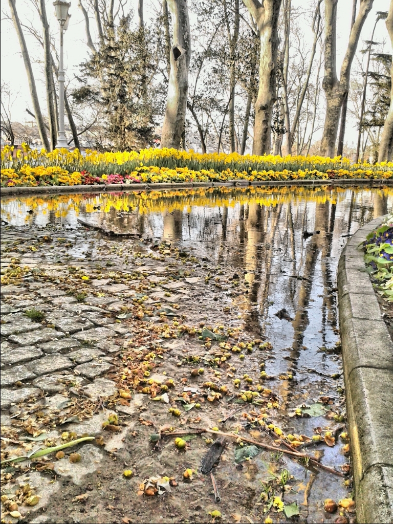 STANBULDA SON SONBAHAR