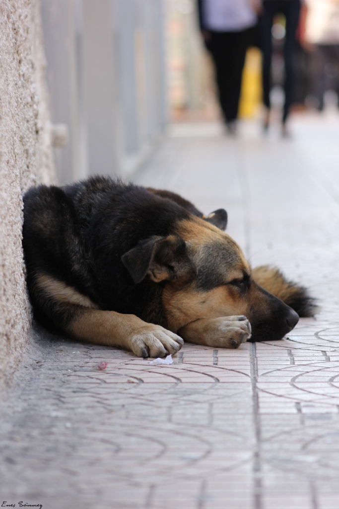 ��imde bir s�k�nt� var bug�n...