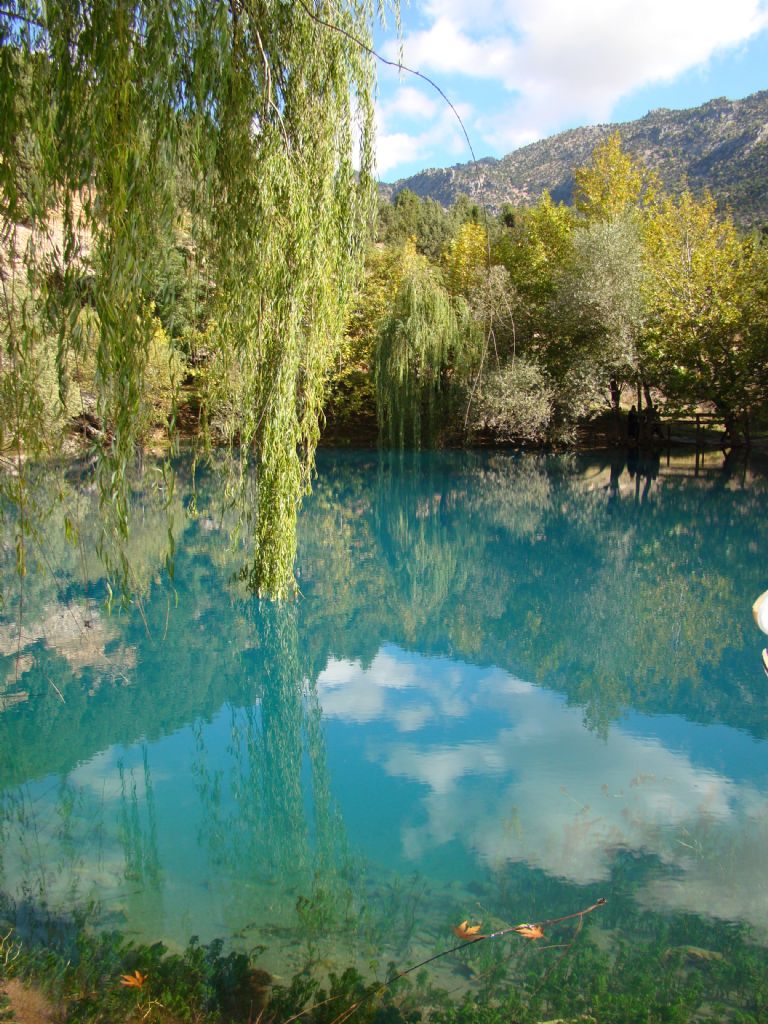 ye�ilin g�zelli�i