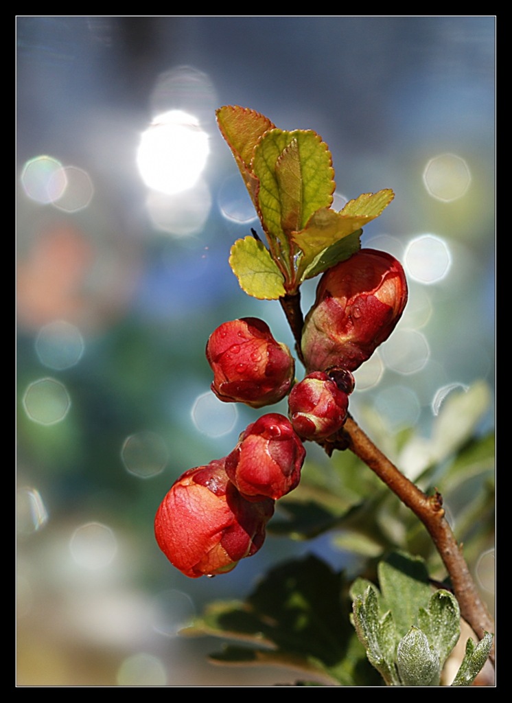 Onlar Uyanrken..!(1)