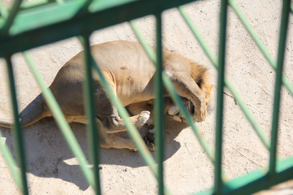 Bakmayn... utanyorum 