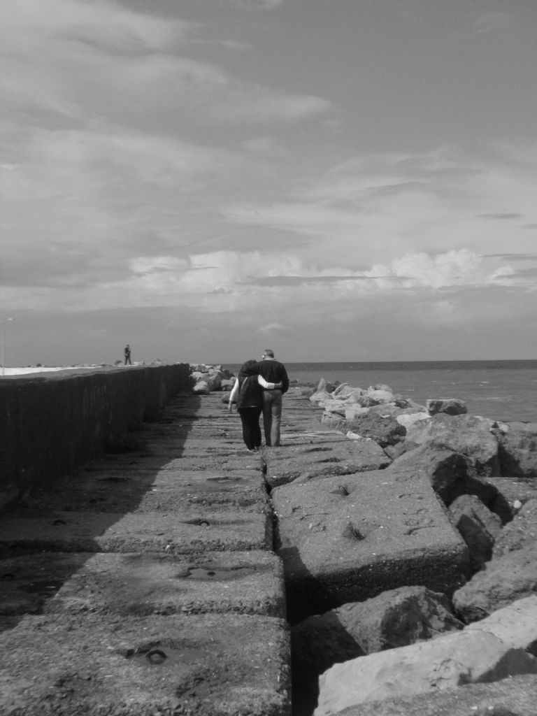 ak�akoca ve bizimkiler