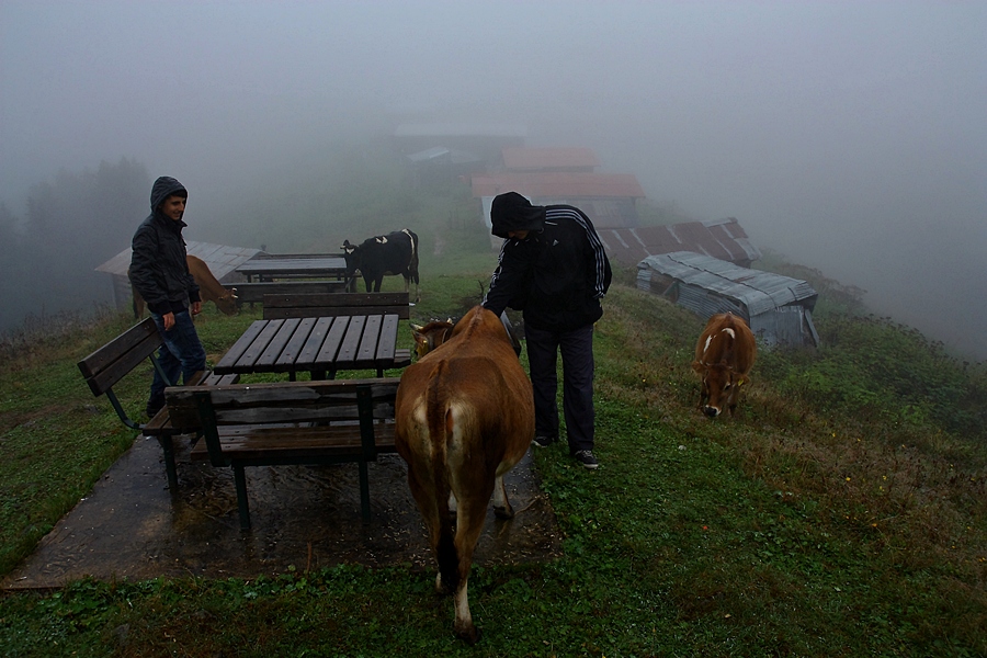 Sal'dan Pokut'a doru ve Pokut(12)