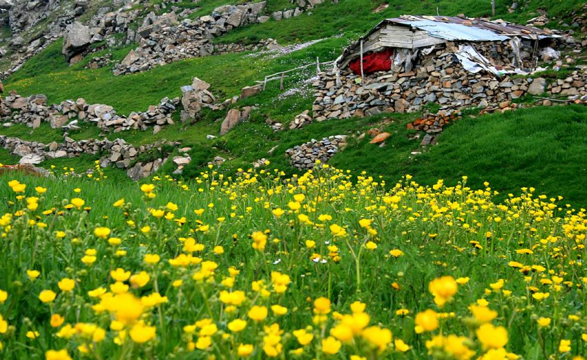 yayla evi