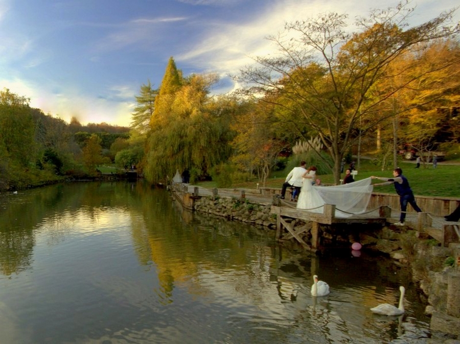 Atatrk Arboretum.