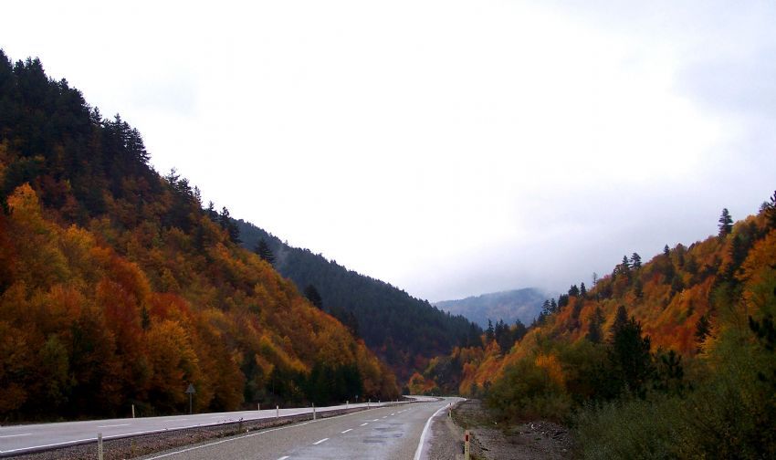 Ilgaz Yolu
