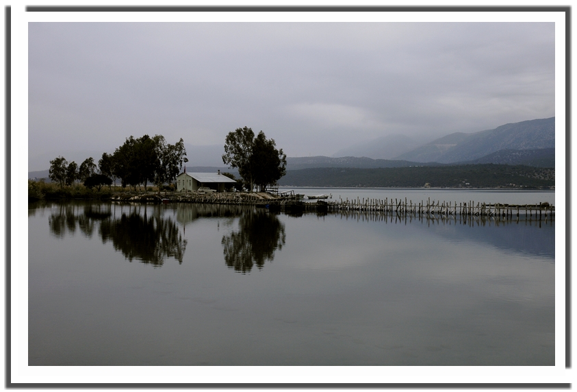 dalyan 