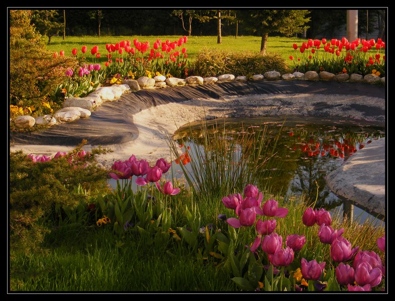 stanbul'dan Artvin'e...