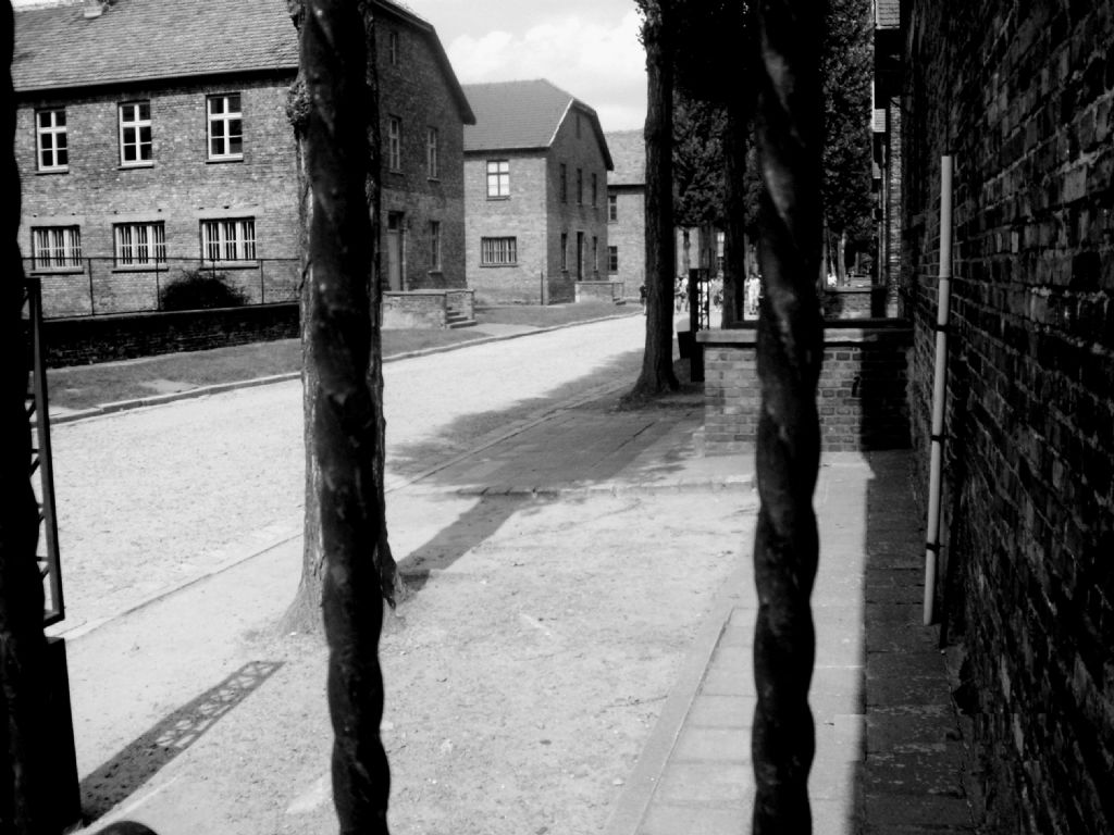 Auschwitz Kamp/POLONYA