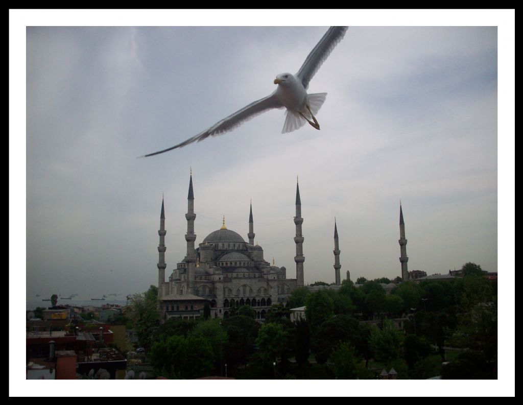 Sultanahmet camii