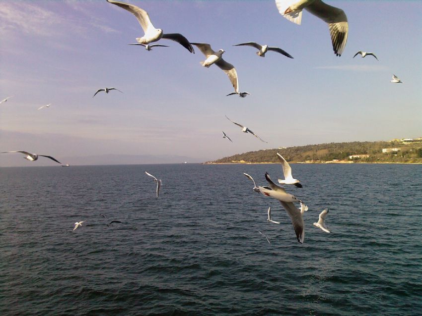 g�zel bir k�� g�n�