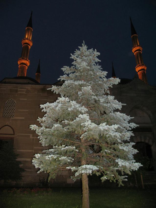 istikbal gklerdedir.