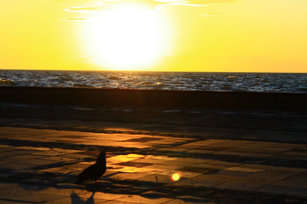 g�ne�i g�rd��