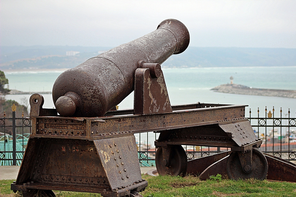 Cannon by Canon