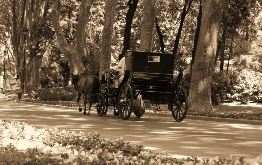 G�lhanede Nostalji