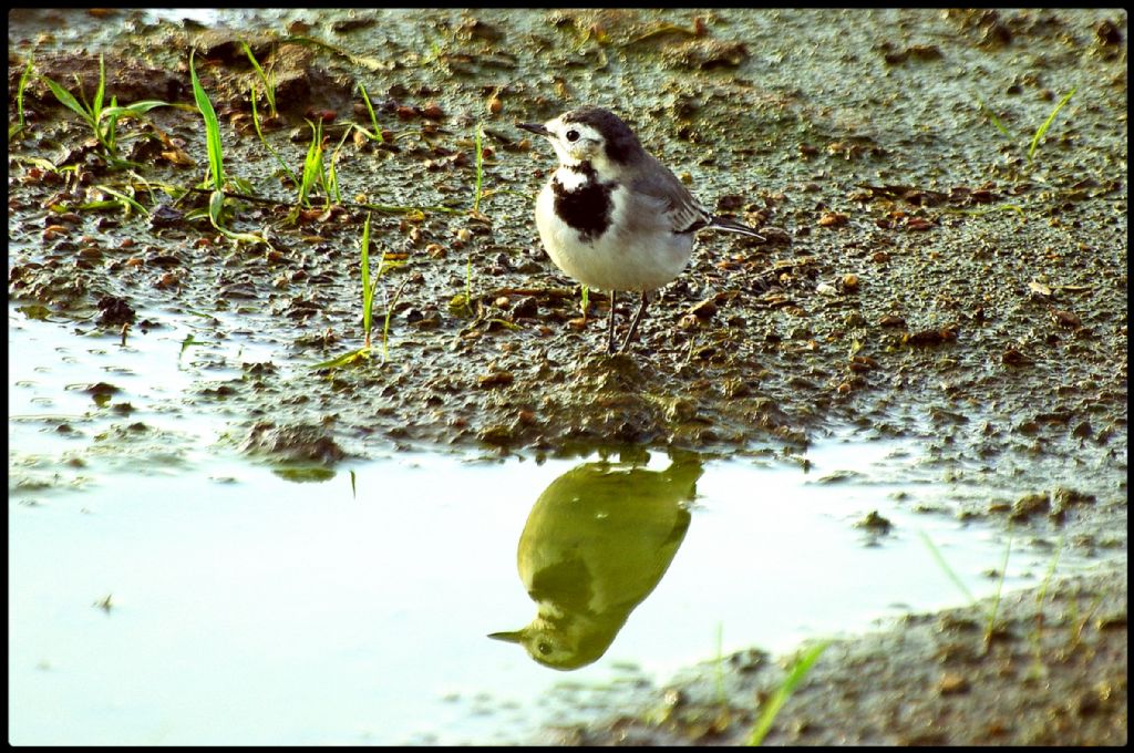 Kendini be�enmi�