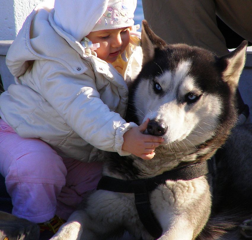 En Sevdiim Arkadam...