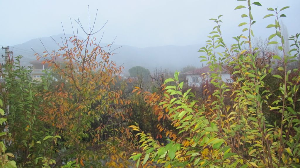 Sisli bir sonbahar gn