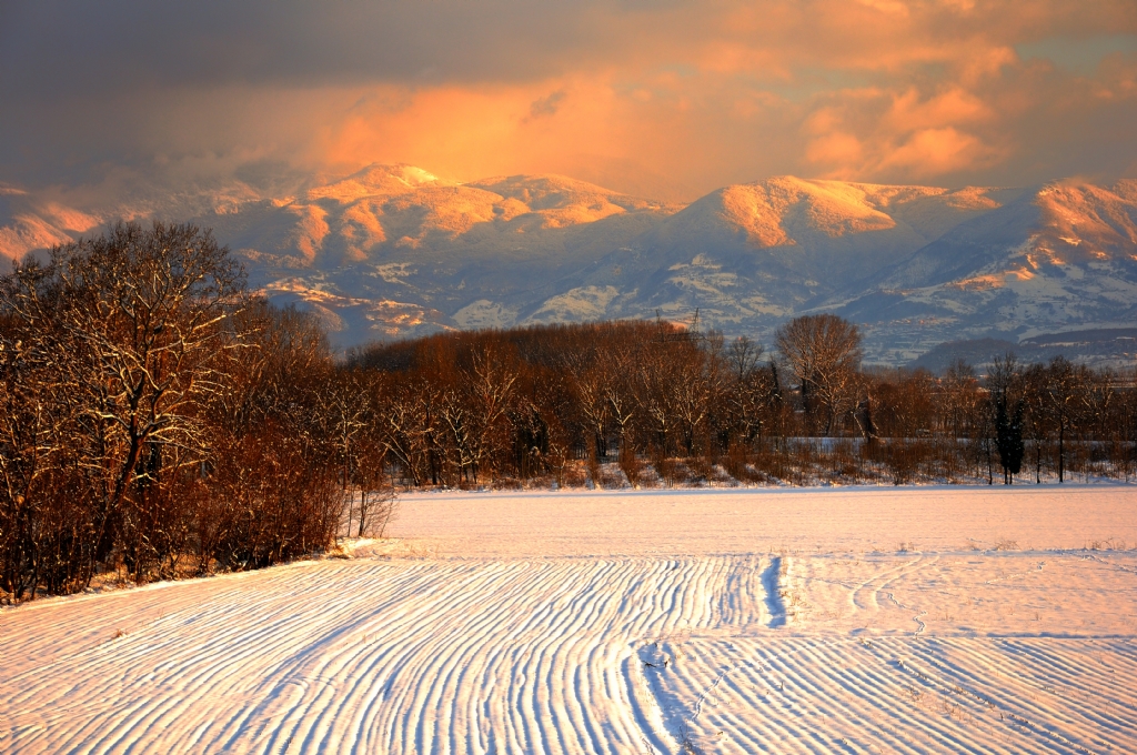 kartepe