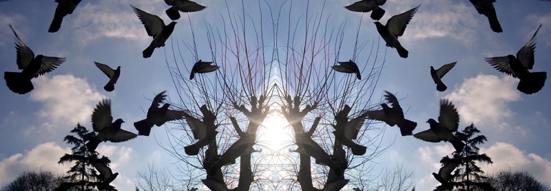 aynadan yansyan : kular